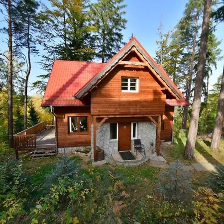 Vakantiehuis Lesny Kolo Karpacza - Apartamentuj